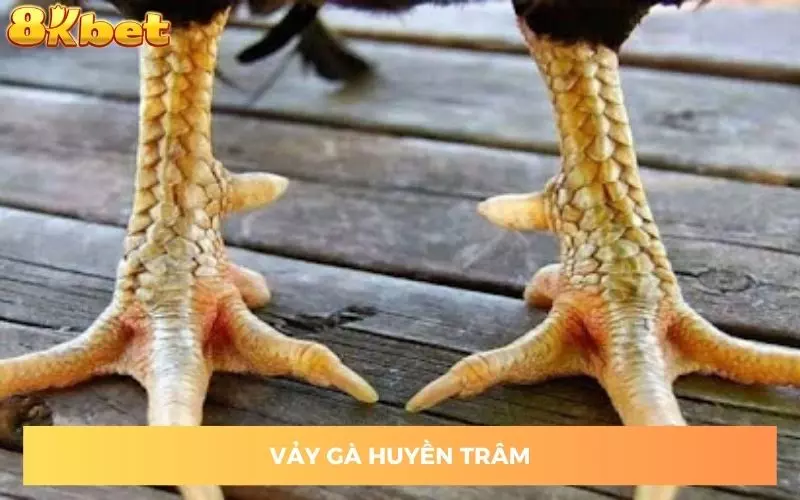 vay-ga-huyen-tram